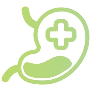 gut bacteria probiotics