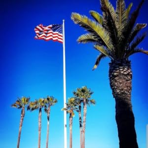 Palm Tree Rushmore Rose