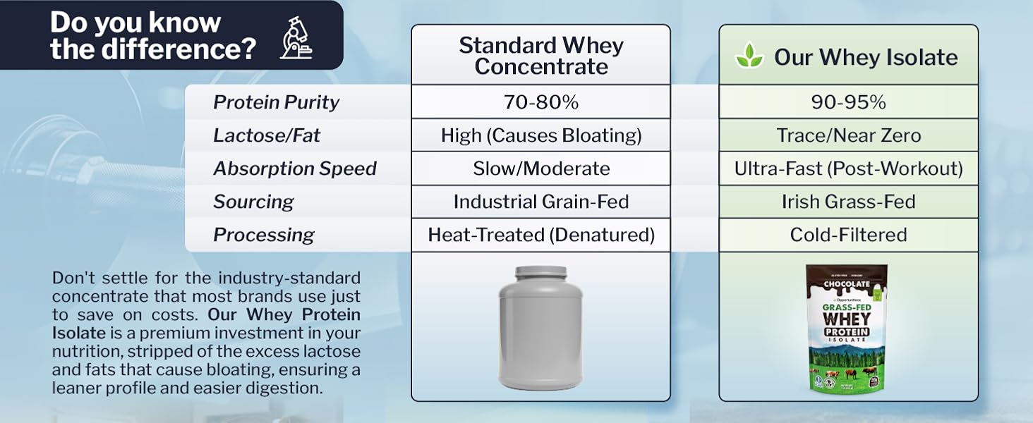 Chocolate protein