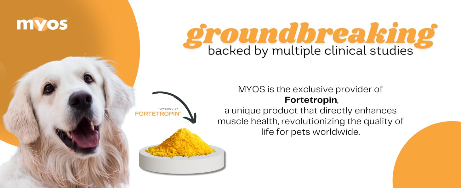 white retreiver dog and copy for myos unique product directly enhance muscle health, revolutionize