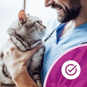 A gray cat being held by a smiling male veterinarian or vet tech.