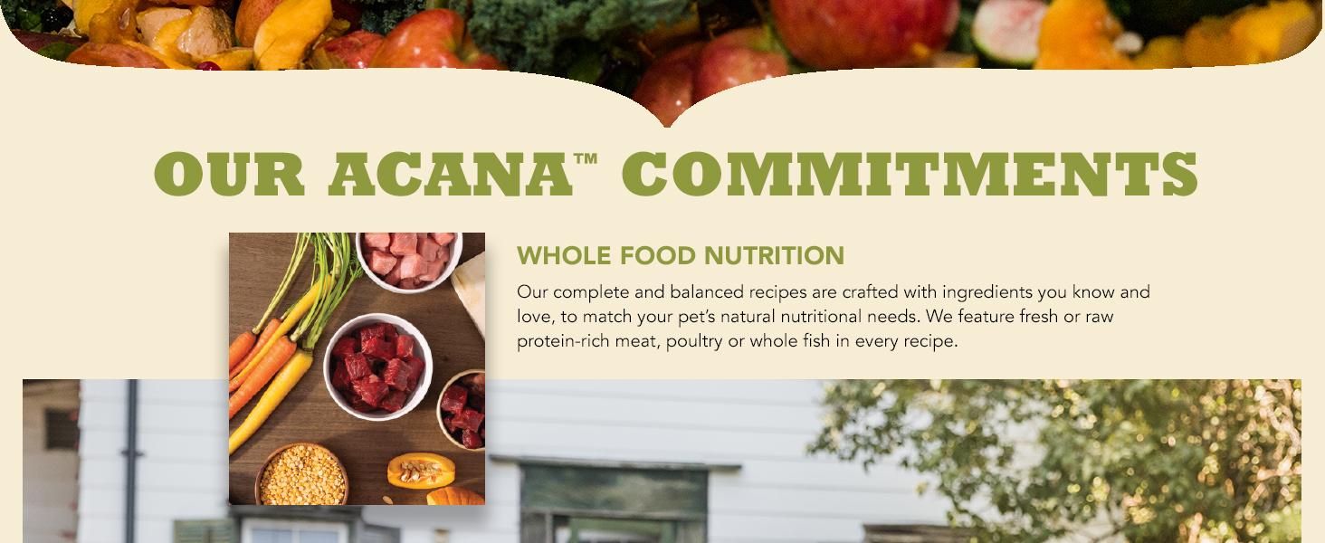 Whole Food Nutrition