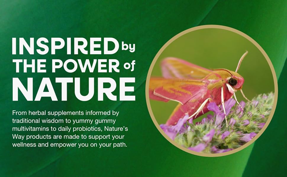 Inspired by the power of nature banner featuring a butterfly on a flower