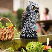 Fake Horned Owl Bird Scarecrow