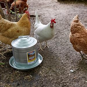 Galvanized Waterer