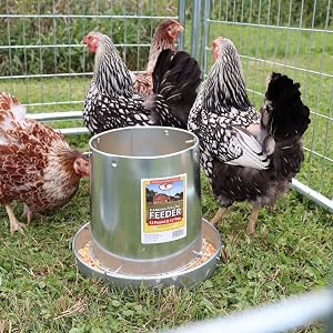 Double Wall Metal Poultry Fount