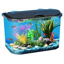 5 gallon fish tank