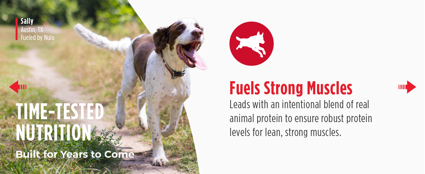 Image of dog with text reading fuels strong muscles.