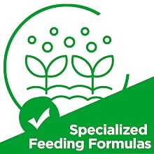 rooting starter pumpkin stratum mammoth flowers compost sulphur wet shocker solution mushroom grass