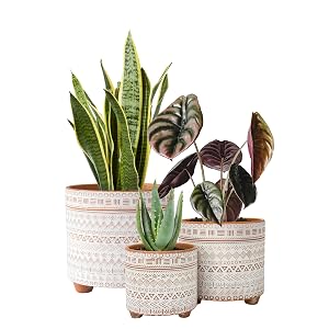 Design Terracotta Pots with drainage holes for small garden and home décor.
