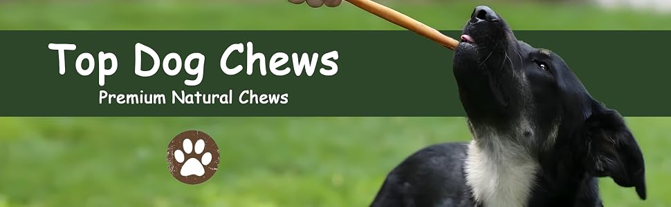dog treat chew bite dry bully stick perro nervio de toro aggressive chewer large medium small