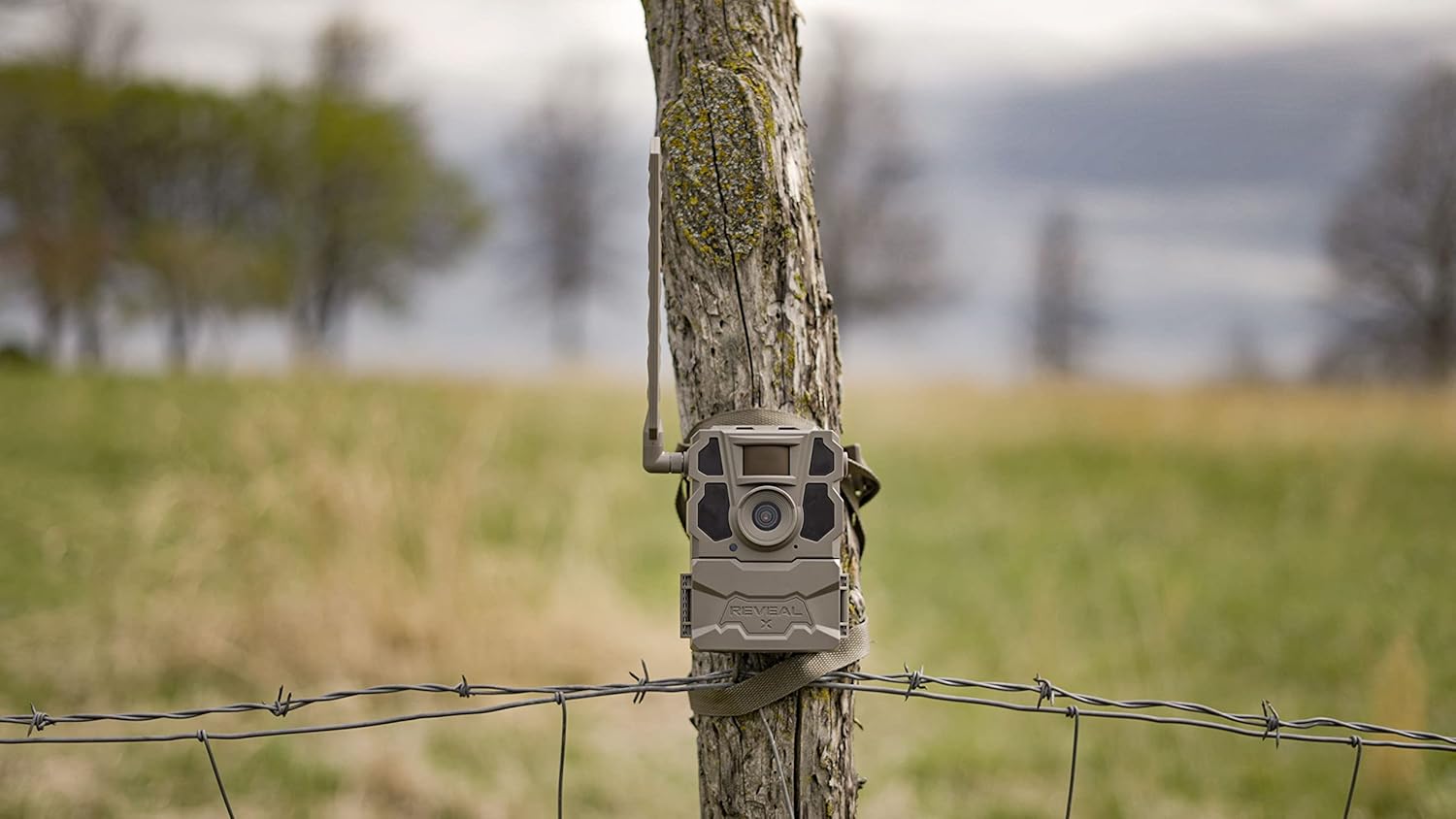 TACTACAM 2 Pack Reveal X Gen 2.0 LTE Cellular Trail Camera AT&T and Verizon, HD Video/Photo, Low Glow IR LED Flash (TA-TC-XG2) for Hunting, Security