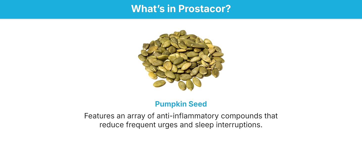 Pumpkin Seed