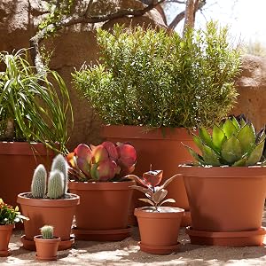 Assortment of Terra pot planters in various sizes.