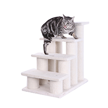 4 step pet steps B4001