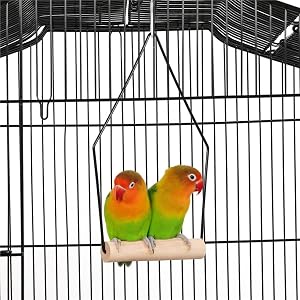 bird swing