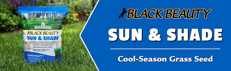 black beauty sun and shade grass seed cool season lawn yard