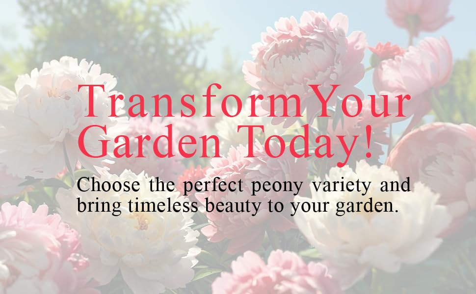 Transform Your Garden Today, choose the perfect peony variety