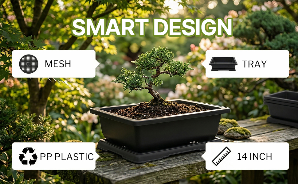bonsai pot