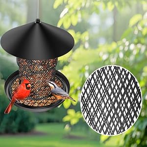 Bird Feeder for Outdoor