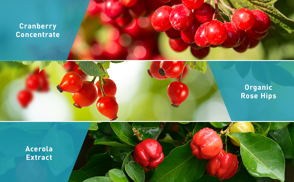 cranberry concentrate organic rose hips acerola extract ingredients natural