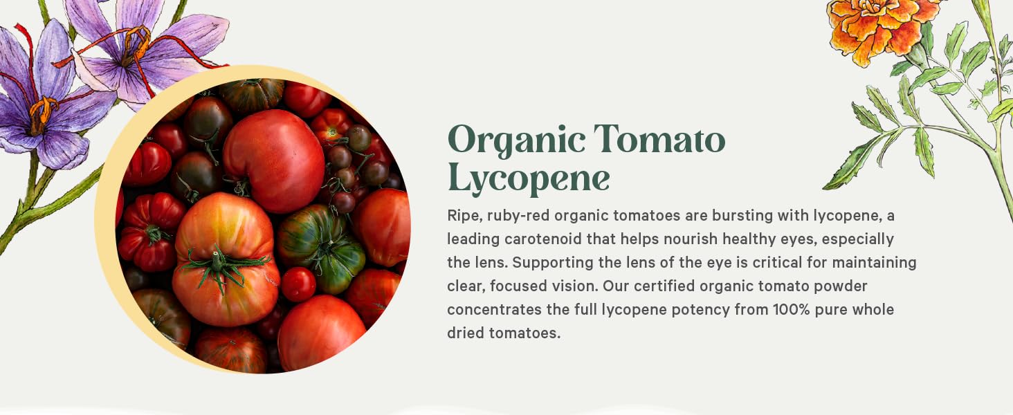 Ripe, ruby-red organic tomatoes bursting with lycopene, a carotenoid that helps nourish healthy eyes