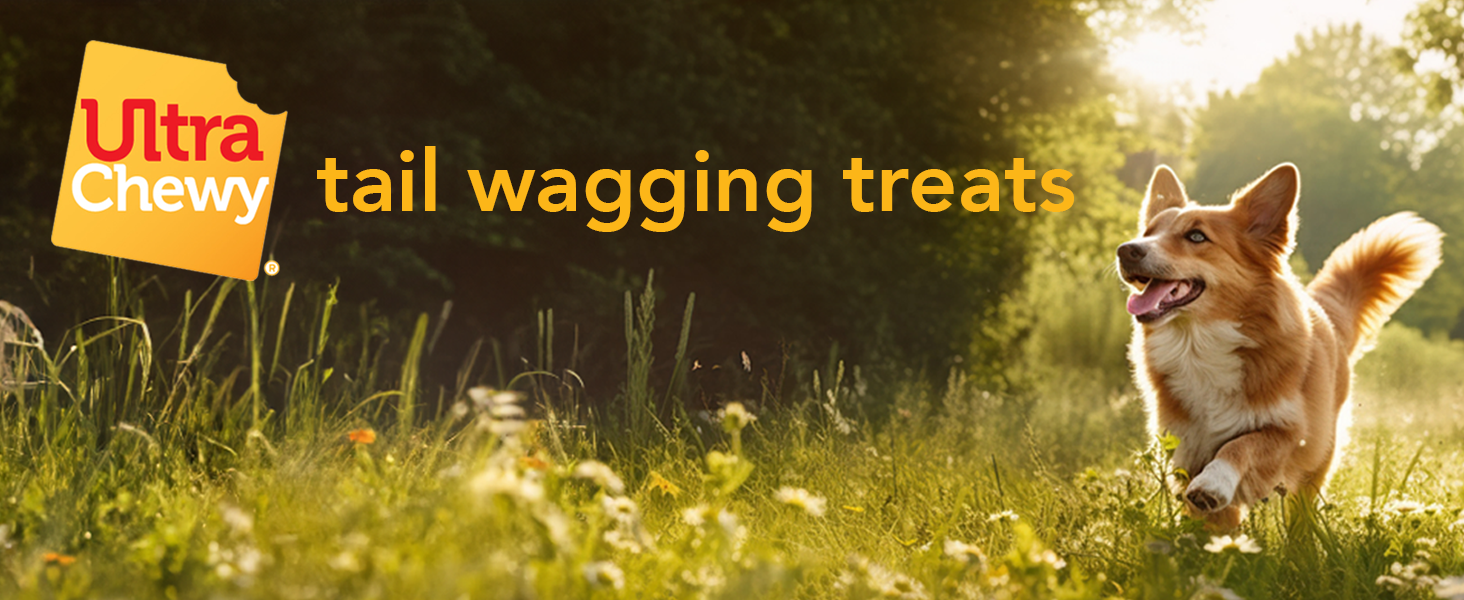 Tails wagging treats