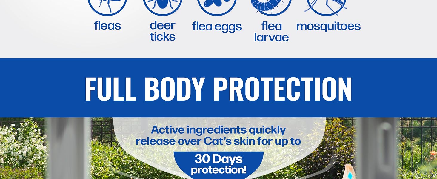 Full Body Protection