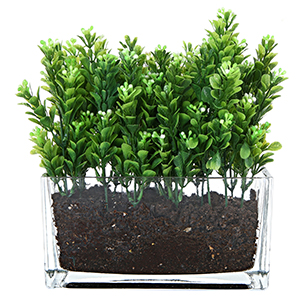 Modern Rectangular Glass Vase, Trough Planter, Tabletop Glass Terrarium