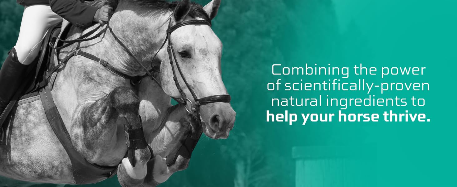 horse thrive jumpy