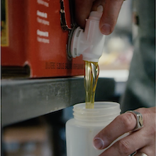 cotro olive oil