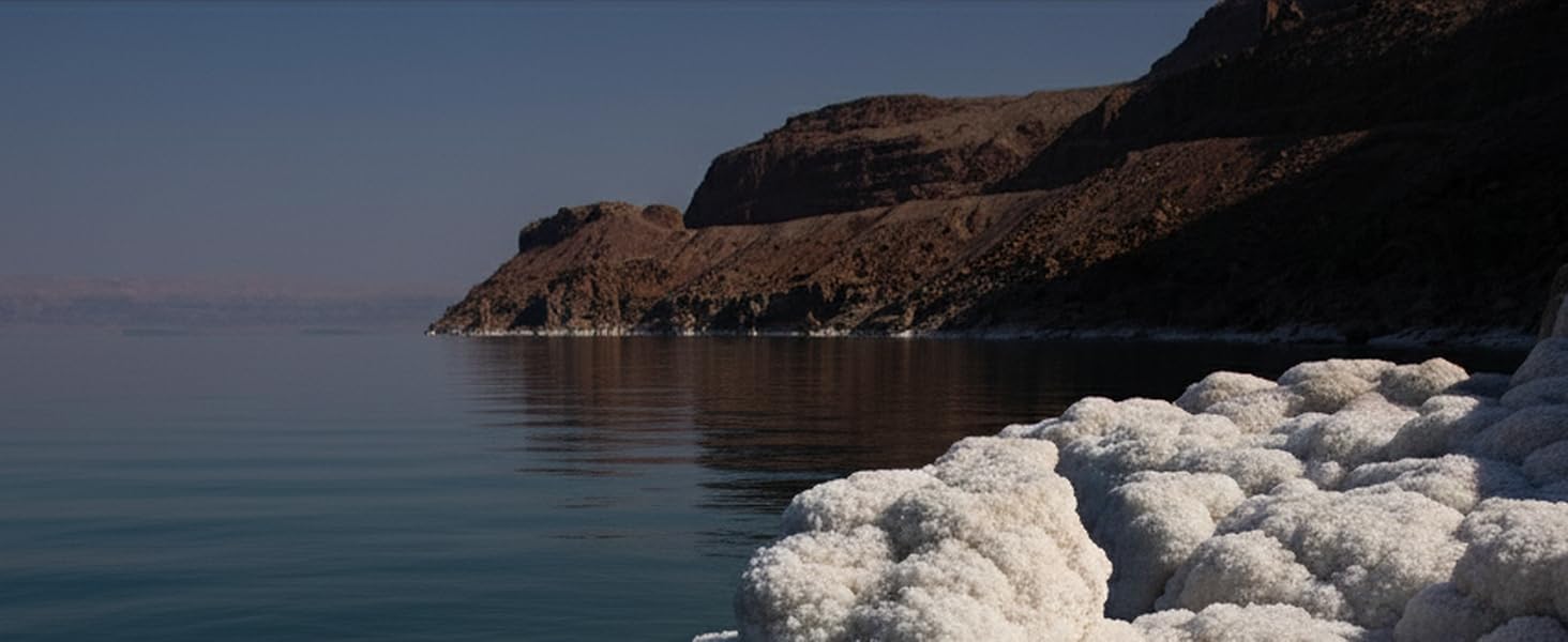 Salt-encrusted Dead Sea shoreline with rugged cliffs and calm blue water.