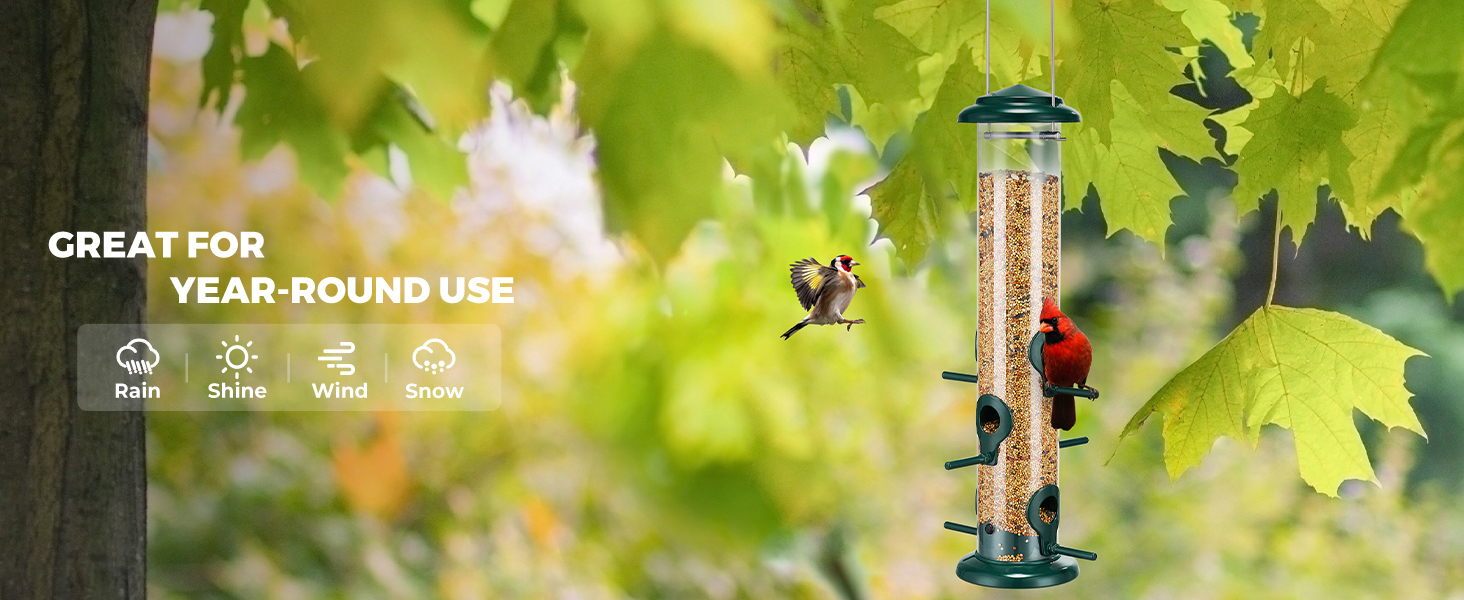 finch bird feeder