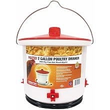 Farm Innovators Heated 2-Gallon Poultry Drinker