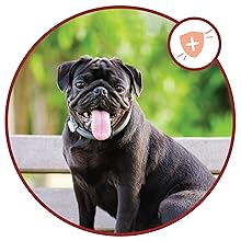 Immune System Support upset stomach relief anti diarrhea pet constipation enzumes sogs gut