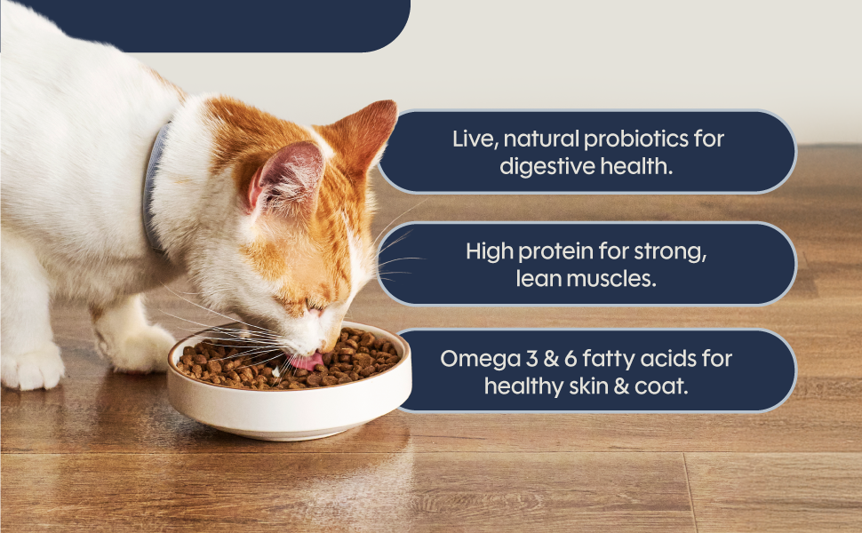 Probiotics for digestion, high protein and fatty acids for coat health