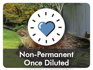 Non-Permanent Once Diluted