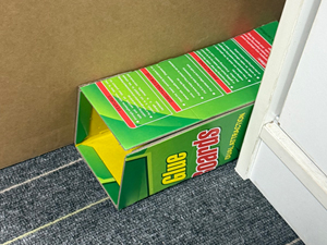 Mouse traps indoor for home