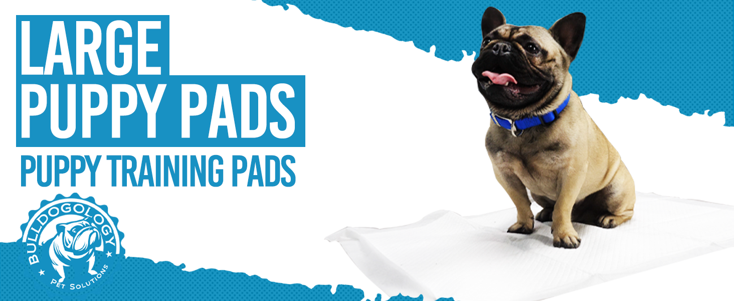 large puppy pads puppy training pads