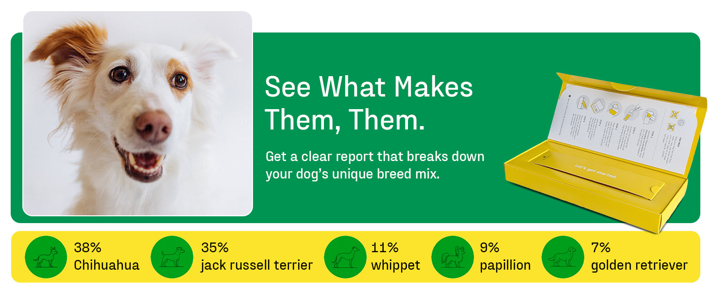 DNA My Dog test kit banner showing a smiling mixed breed dog and a sample breed percentage chart
