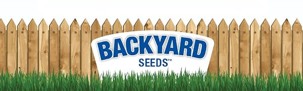 Backyard Seeds Suet and Seeds by CountryMax