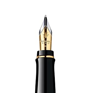 Waterman Expert Fountain Pens