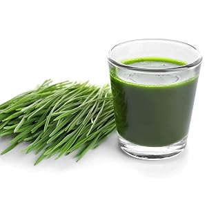 Wheatgrass Shots