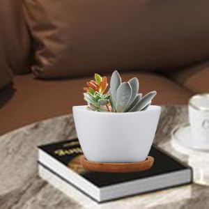 pots