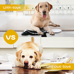 Dog Squeaky Toys