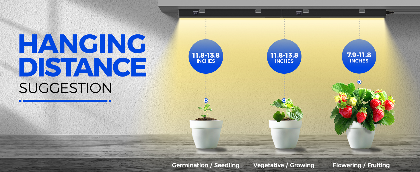 plant lights