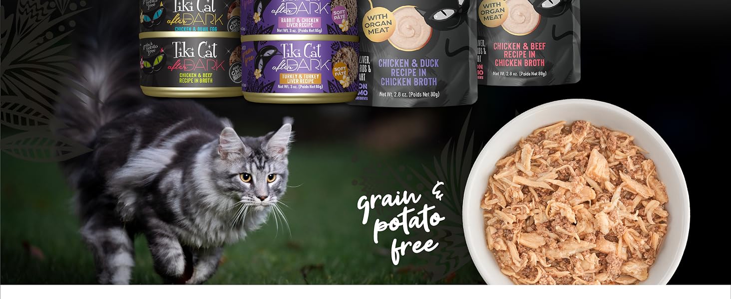 tiki cat grain free wet cat food adult cats kittens senior shredded meat chicken beef high protein
