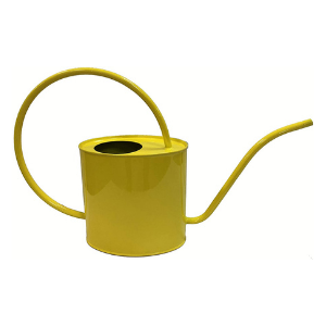 watering can indoor metal outdoor kids small plant garden galvanized lights mini gallon tin copper