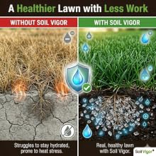 Side-by-side of a brown, dried lawn versus a lush green lawn hydrated with Soil Vigor crystals.