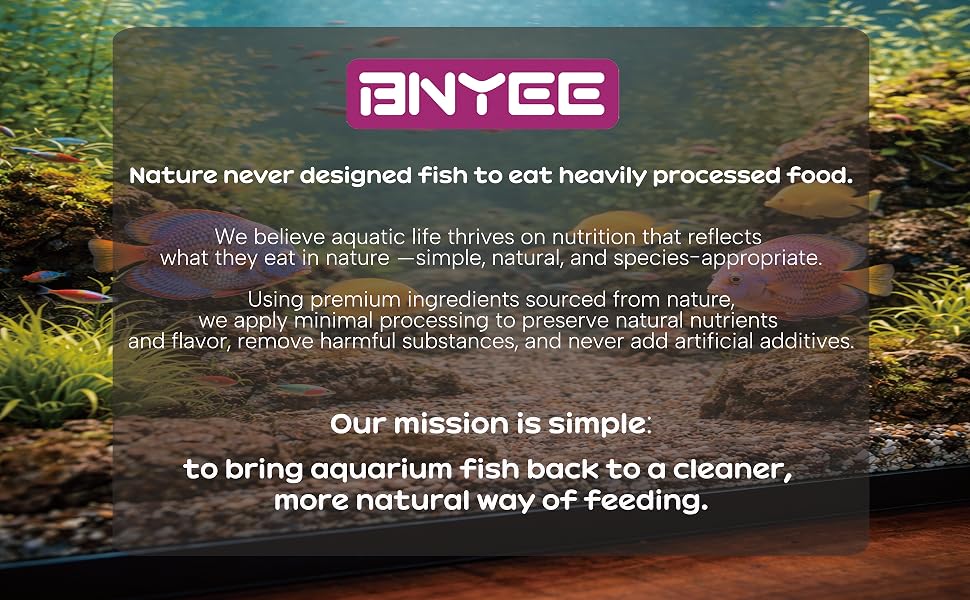BNYEE Brand Story